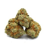 Double OG at ONIGREENS