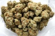 Double OG at ONIGREENS