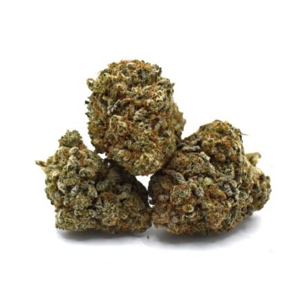 Birthday Cake ONIGREENS